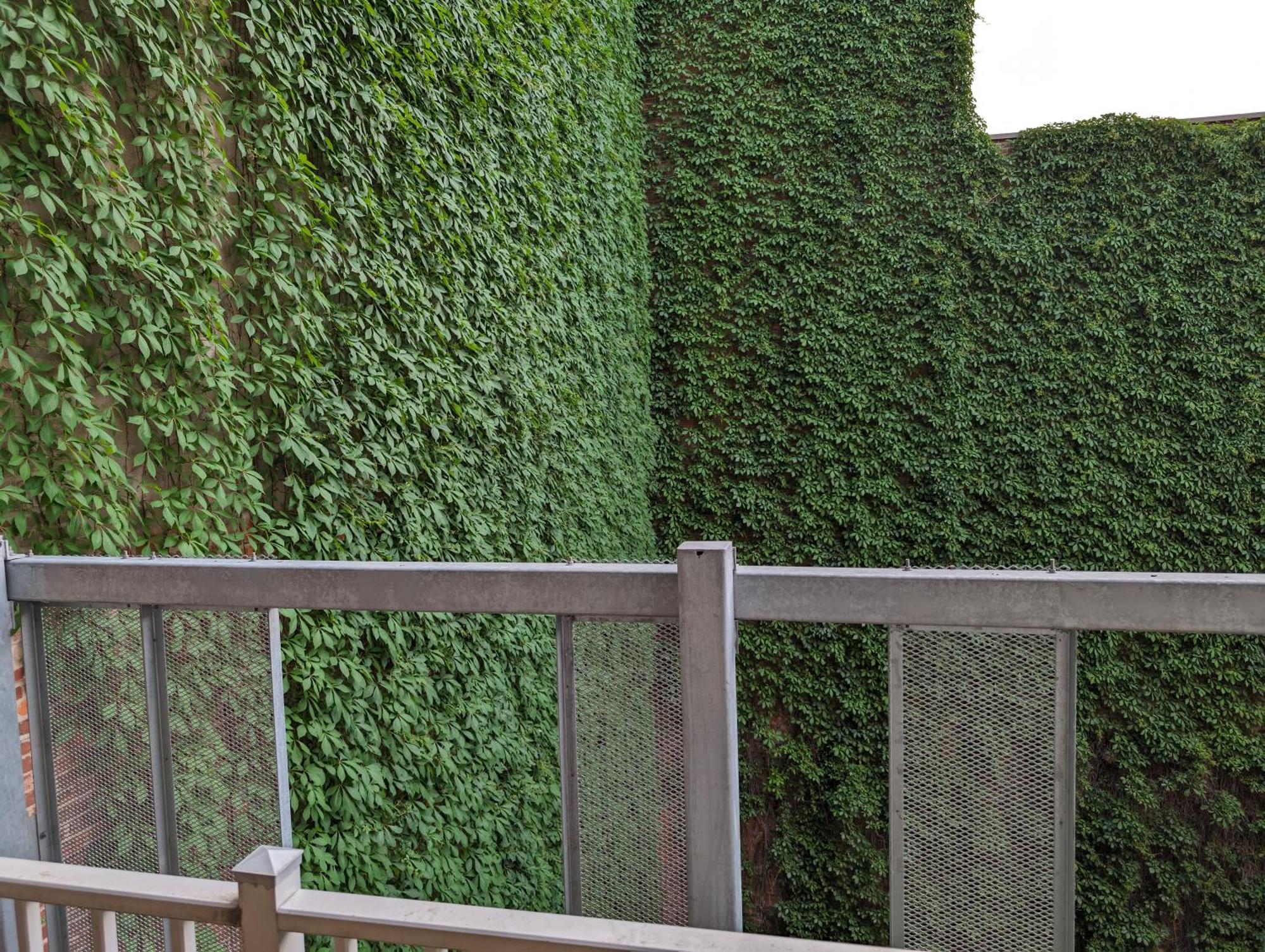 Cozy Studio In Montreal'S Quartier Des Spectacles Exterior photo